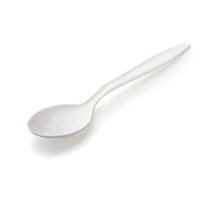Plastic Spoons