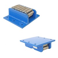 Equipment Roller Skates