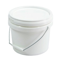 Pail 4L With Metal Handle & Lid