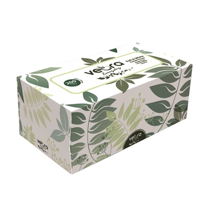 Facial Tissue Everyday 2 Ply 100 Sheet